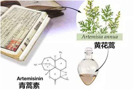 九州官网,九州（中国）：向中医药看齐，与世界共享中医药文化(图1)